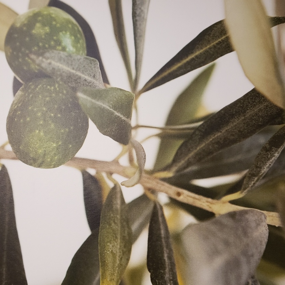 Meet your Posher, Joyce